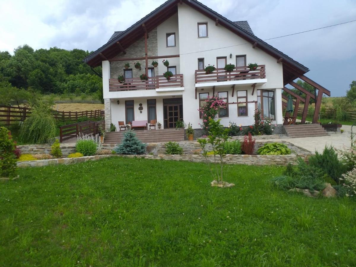 Pensiunea Doina Bucovinei Hotel Mînăstirea Humorului Exterior foto