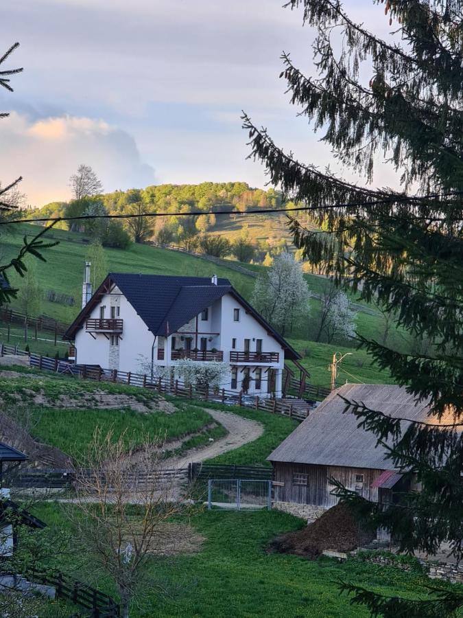 Pensiunea Doina Bucovinei Hotel Mînăstirea Humorului Exterior foto