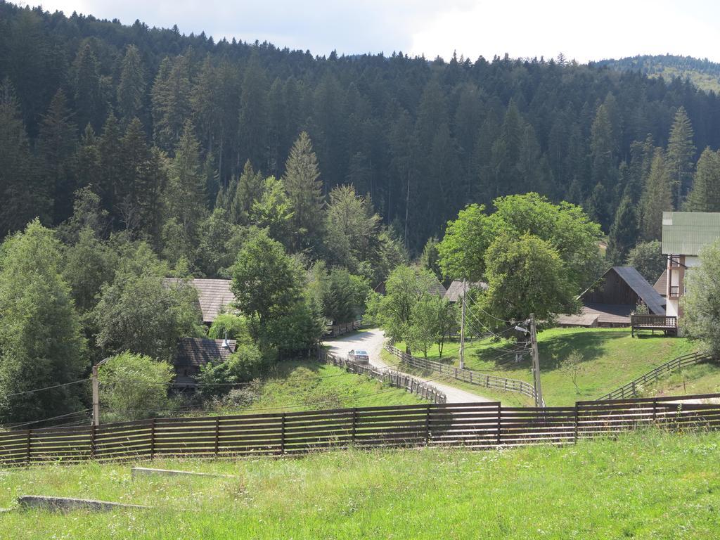 Pensiunea Doina Bucovinei Hotel Mînăstirea Humorului Exterior foto