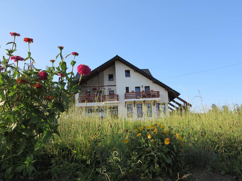 Pensiunea Doina Bucovinei Hotel Mînăstirea Humorului Exterior foto