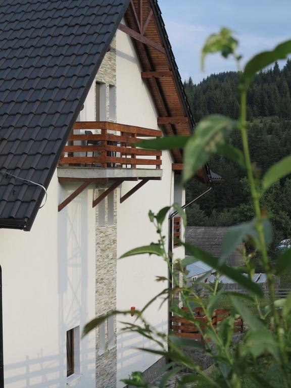 Pensiunea Doina Bucovinei Hotel Mînăstirea Humorului Exterior foto